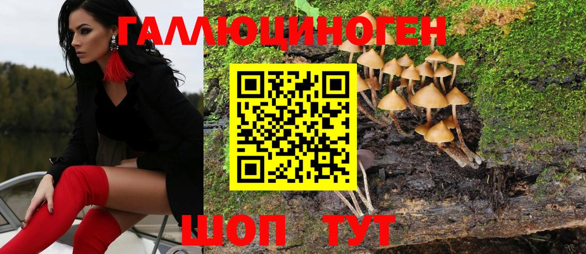 Галлюциногенные грибы мухоморы Будённовск
